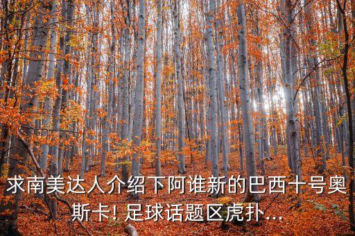 求南美達(dá)人介紹下阿誰(shuí)新的巴西十號(hào)奧斯卡! 足球話(huà)題區(qū)虎撲...