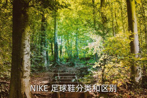 nikecr7足球