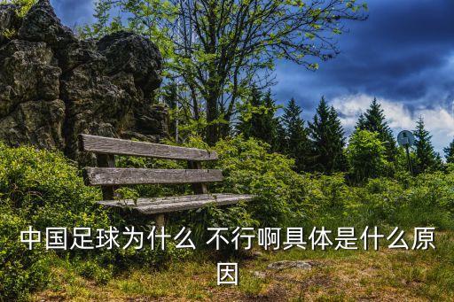 中國足球隊不行,2002年中國足球隊陣容