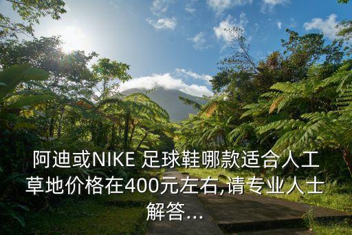 阿迪或NIKE 足球鞋哪款適合人工草地價(jià)格在400元左右,請(qǐng)專業(yè)人士解答...