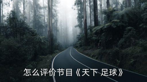 怎么評(píng)價(jià)節(jié)目《天下 足球》
