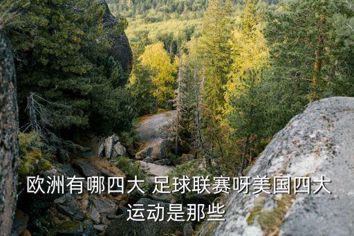  歐洲有哪四大 足球聯(lián)賽呀美國四大運動是那些