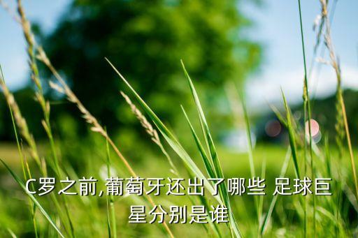 C羅之前,葡萄牙還出了哪些 足球巨星分別是誰
