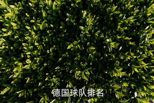 德國球隊排名