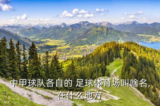 中甲球隊各自的 足球體育場叫啥名,在什么地方