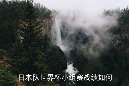  日本隊世界杯小組賽戰(zhàn)績如何