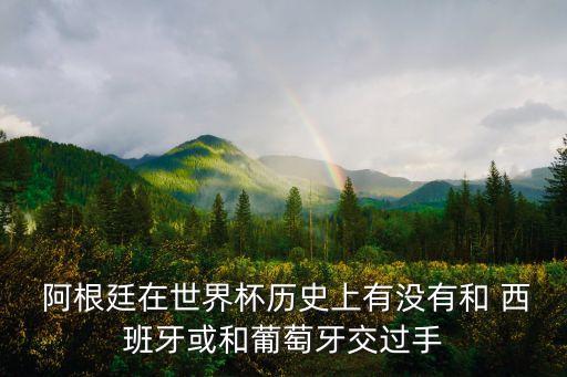 足球西班牙對(duì)阿根廷,阿根廷足球隊(duì)員名單