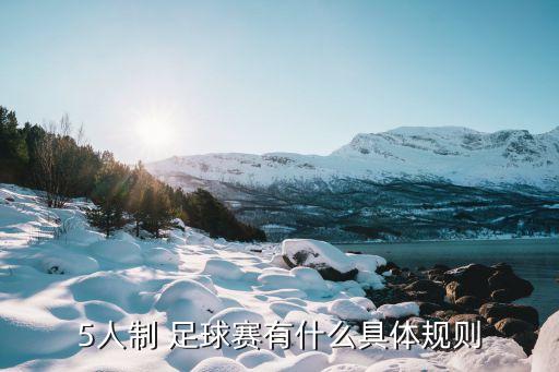 5人制 足球賽有什么具體規(guī)則