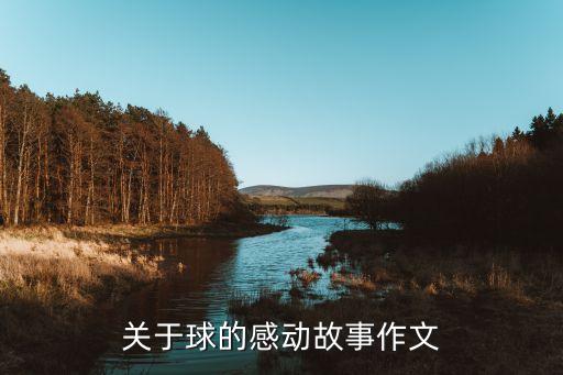 關(guān)于球的感動(dòng)故事作文