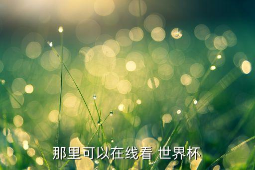 那里可以在線看 世界杯