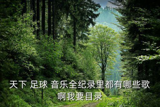 天下 足球 音樂全紀(jì)錄里都有哪些歌啊我要目錄