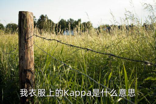 我衣服上的Kappa是什么意思