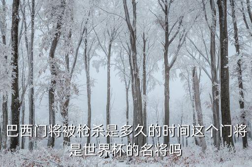 桑托斯與維多利亞足球分析