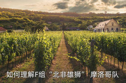 如何理解F組“北非雄獅” 摩洛哥隊