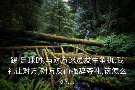 踢 足球時,與對方球員發(fā)生爭執(zhí),我禮讓對方,對方反而強辭奪禮,該怎么辦...