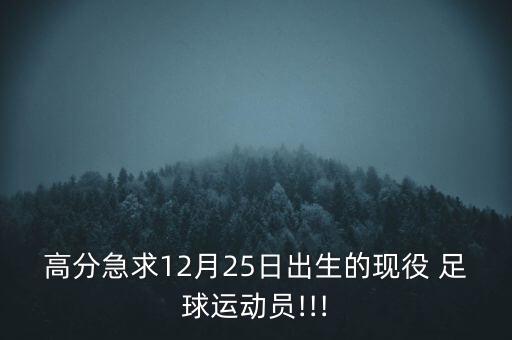 高分急求12月25日出生的現(xiàn)役 足球運動員!!!