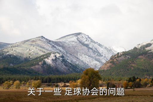 關(guān)于一些 足球協(xié)會的問題