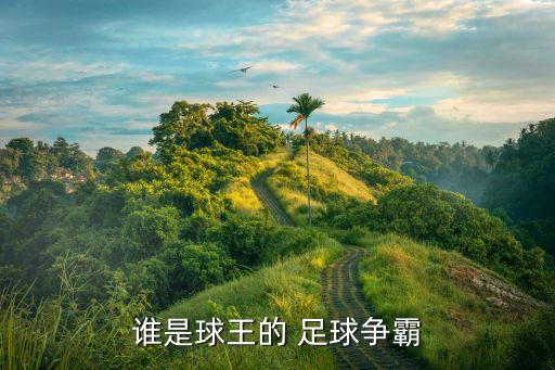 誰(shuí)是球王的 足球爭(zhēng)霸