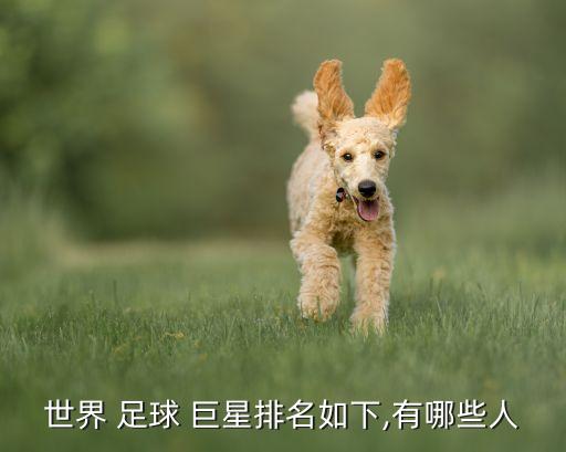 26號足球巨星,阿根廷十大足球巨星