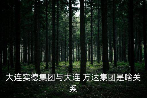大連實(shí)德集團(tuán)與大連 萬(wàn)達(dá)集團(tuán)是啥關(guān)系
