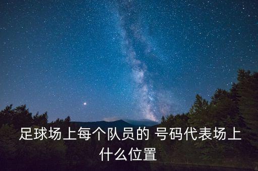 足球前鋒有那些號碼,足球著名前鋒號碼