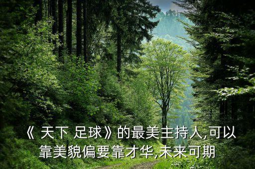 《 天下 足球》的最美主持人,可以靠美貌偏要靠才華,未來(lái)可期