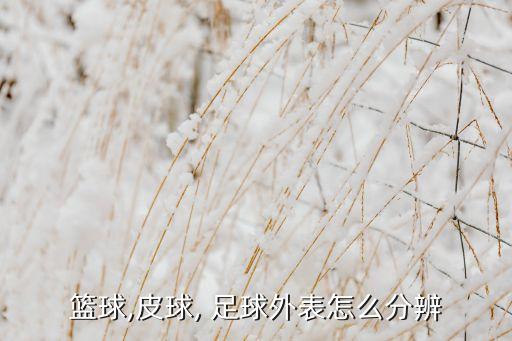 籃球,皮球, 足球外表怎么分辨