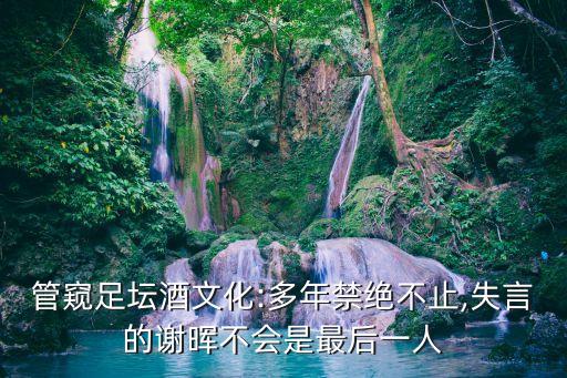 管窺足壇酒文化:多年禁絕不止,失言的謝暉不會是最后一人