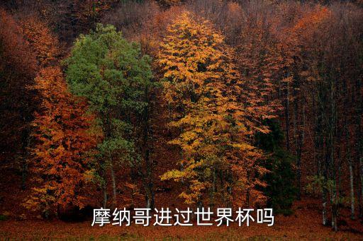  摩納哥進過世界杯嗎