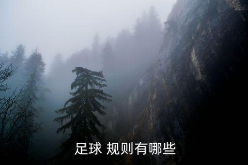 踢足球開球的規(guī)則,小學(xué)生踢足球的基本規(guī)則