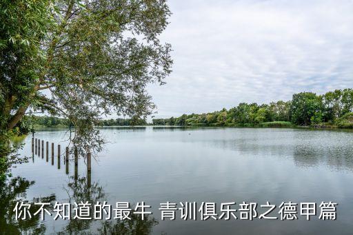 歐冠足球 青訓基金
