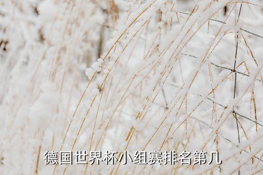  德國(guó)世界杯小組賽排名第幾