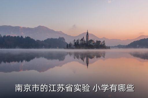  南京市的江蘇省實(shí)驗(yàn) 小學(xué)有哪些