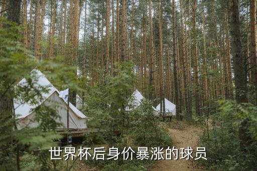 世界杯后身價(jià)暴漲的球員