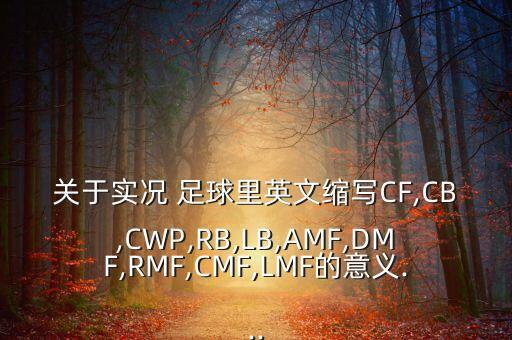 關(guān)于實(shí)況 足球里英文縮寫(xiě)CF,CB,CWP,RB,LB,AMF,DMF,RMF,CMF,LMF的意義...