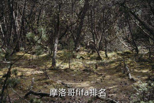  摩洛哥fifa排名