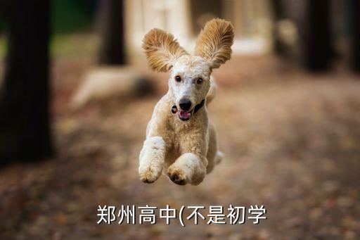  鄭州高中(不是初學(xué)