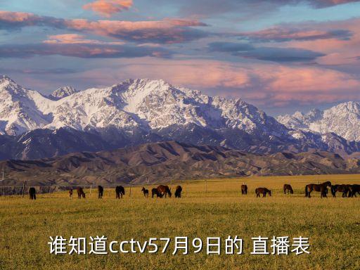 中國國家隊與泰國隊足球賽直播