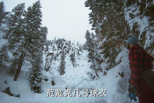 足球5號(hào)隊(duì)服,最好看的足球隊(duì)服