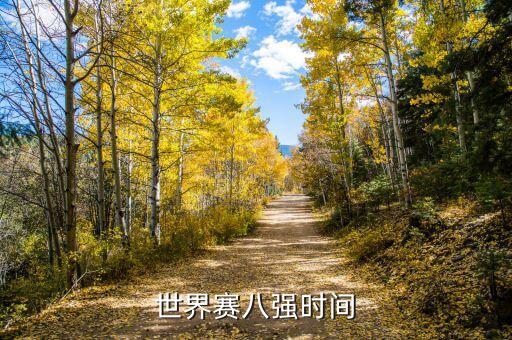 世界賽八強時間