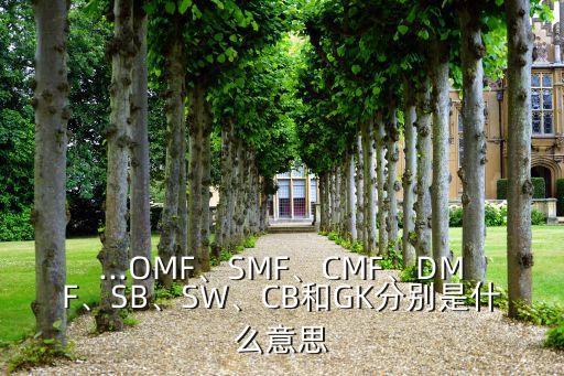足球cb是什么意思,女的說自己想cb是什么意思