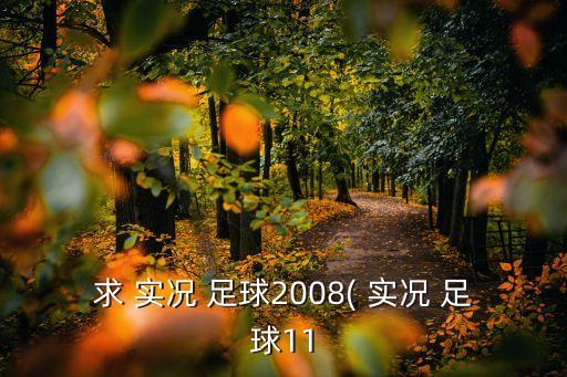 實(shí)況足球2008作弊,psp實(shí)況足球2008