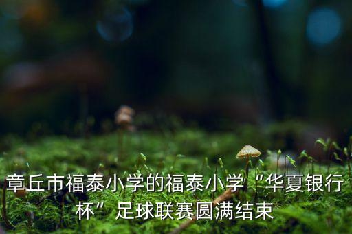 章丘市福泰小學(xué)的福泰小學(xué)“華夏銀行杯”足球聯(lián)賽圓滿結(jié)束