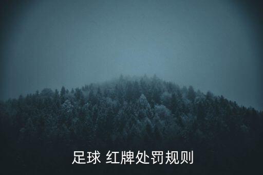  足球 紅牌處罰規(guī)則