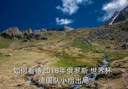 如何看待2018年俄羅斯 世界杯 德國隊小組出局
