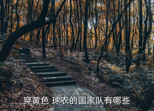 穿黃色 球衣的國家隊(duì)有哪些