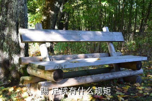 踢 足球有什么規(guī)矩