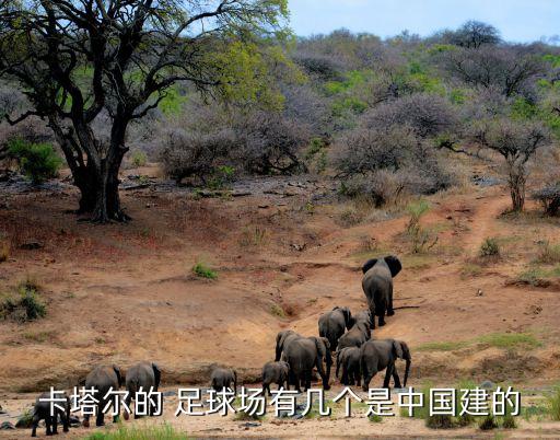 卡塔爾的 足球場有幾個是中國建的