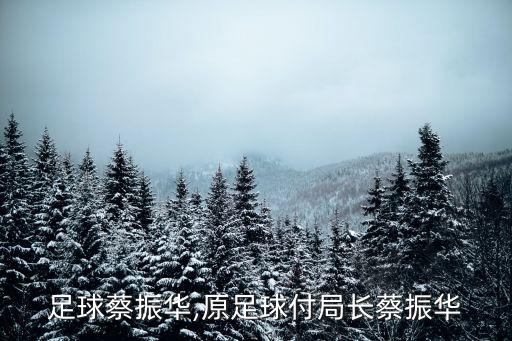 搜狐足球蔡振華,原足球付局長(zhǎng)蔡振華