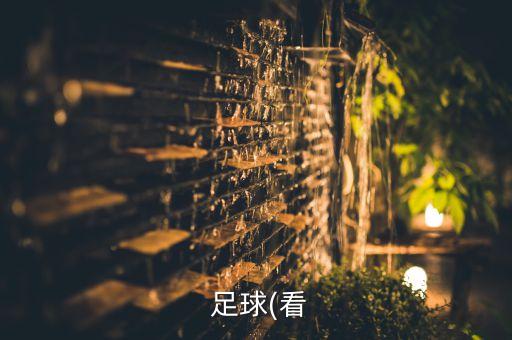 關(guān)于足球國家隊(duì)的網(wǎng)站